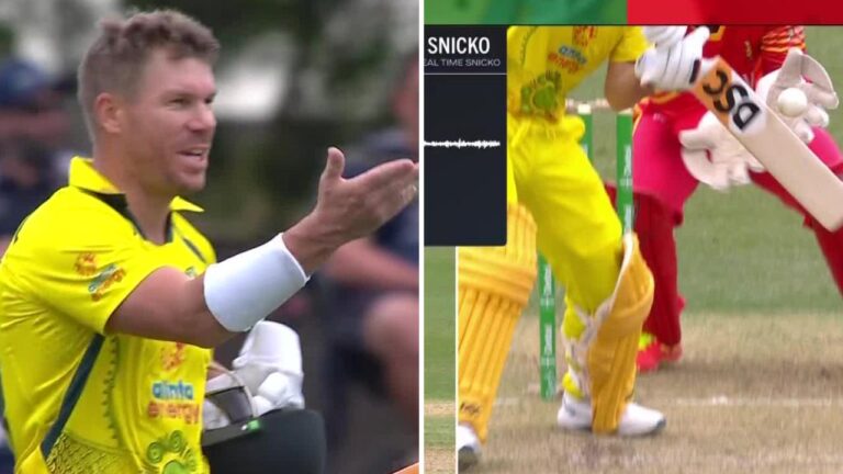 David Warner saved by DRS, walks after wicket, video