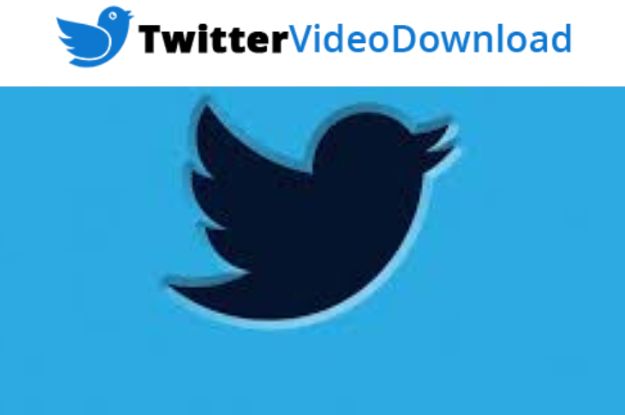 Best Twitter Video Downloader Online Tool – Fast, Free, And Easy